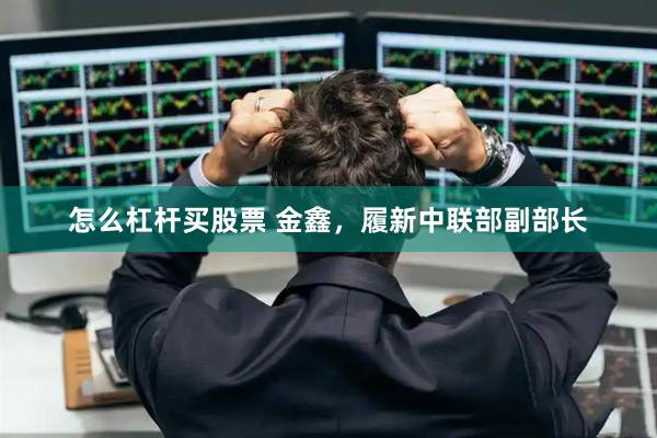 怎么杠杆买股票 金鑫，履新中联部副部长